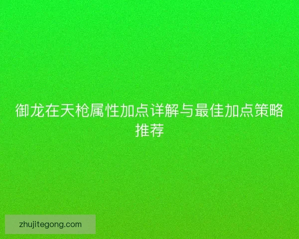 御龙在天枪属性加点详解与最佳加点策略推荐