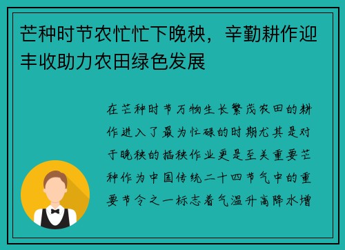 芒种时节农忙忙下晚秧，辛勤耕作迎丰收助力农田绿色发展